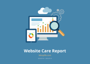 Website Care Report